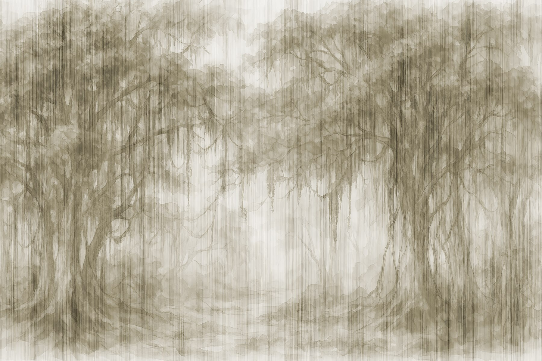 Group of trees in a foggy forest Group of trees in a foggy forest