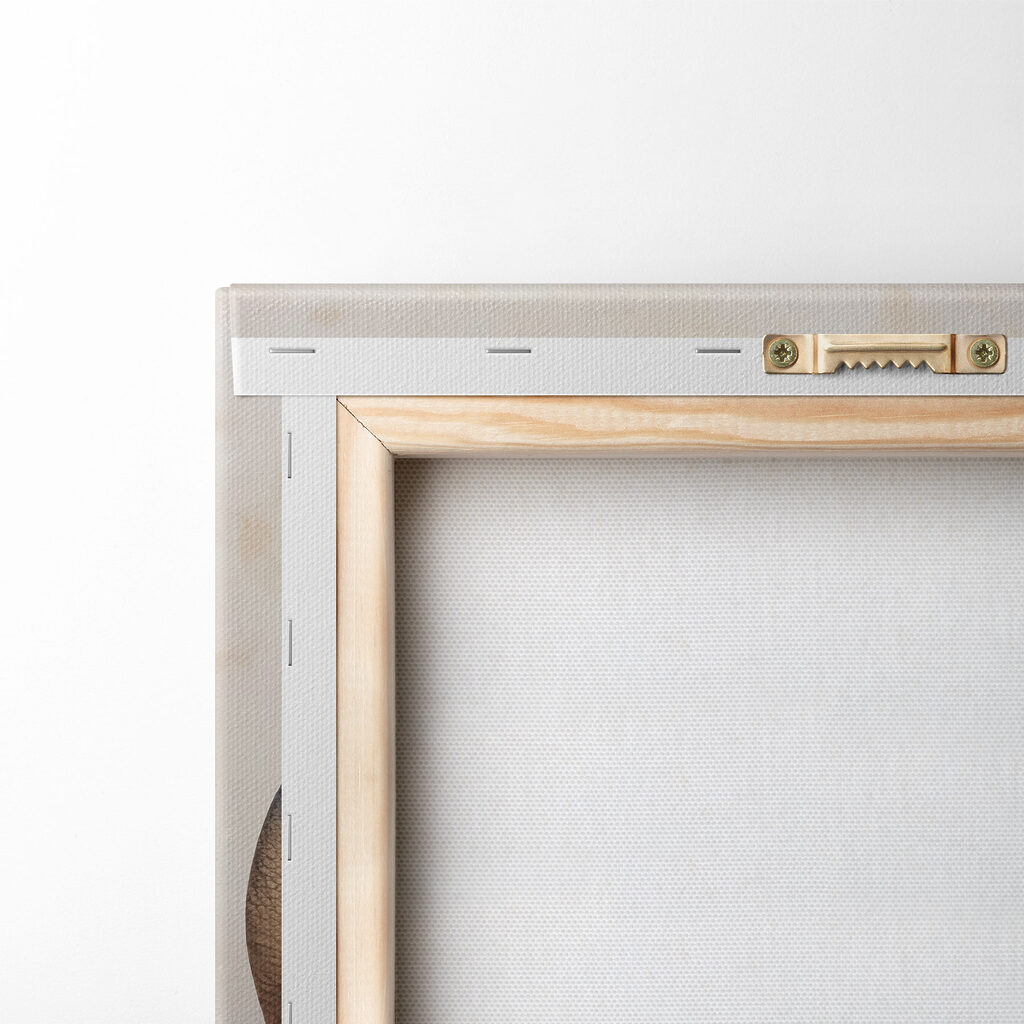 Painting of a peacock Painting of a peacock