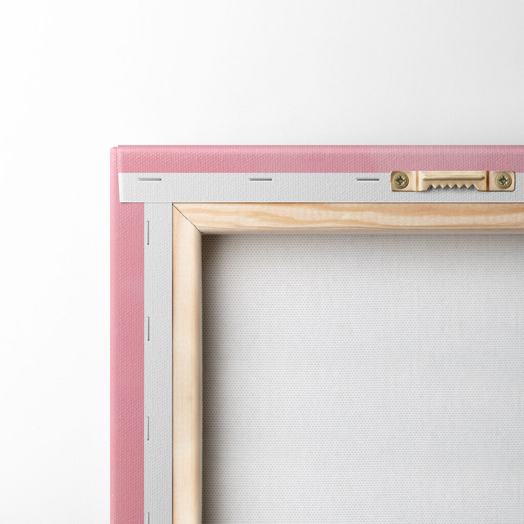 Black and white cat with orange eyes Black and white cat with orange eyes