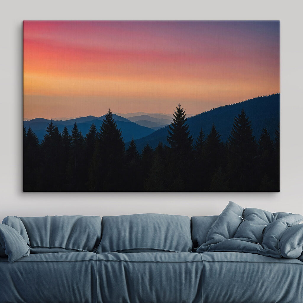 Group of trees in a forest