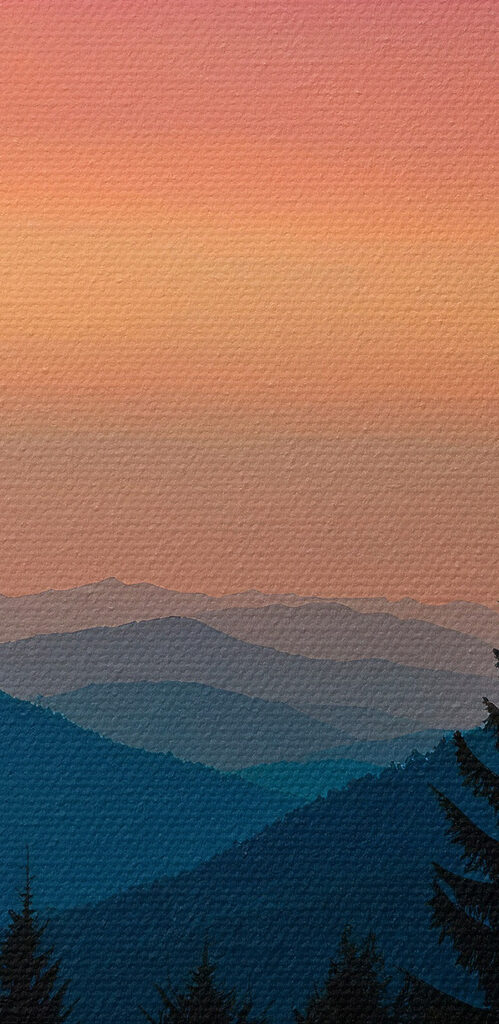 Group of trees in a forest