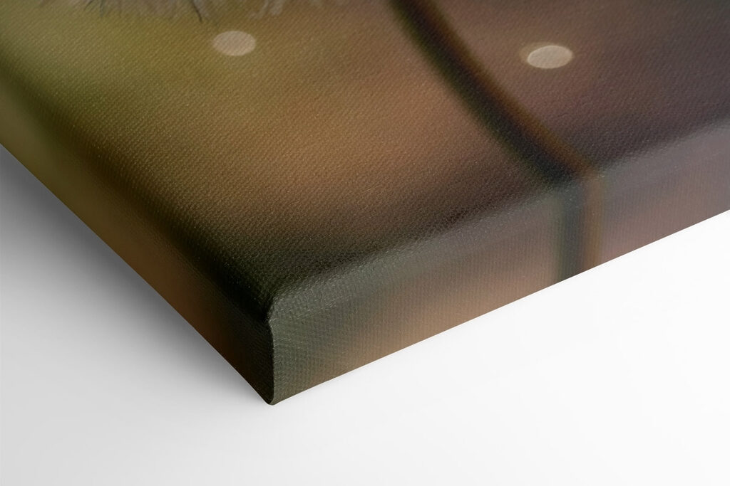 Delicate nature at its finest Delicate nature at its finest