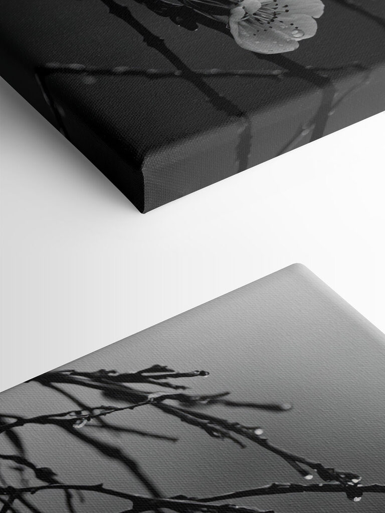 Delicate blooms beneath gentle rain