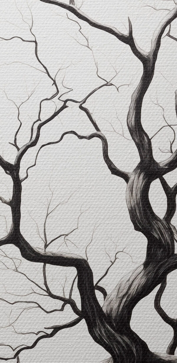 Black and white drawing of a tree Black and white drawing of a tree