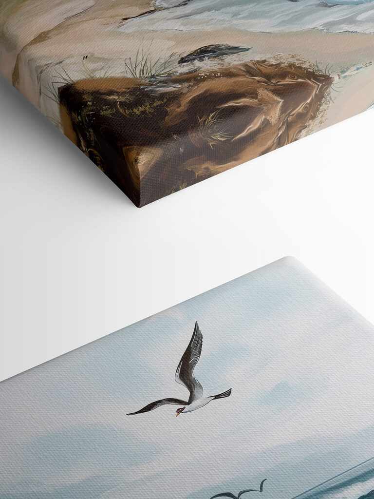 Seagull flying over a beach