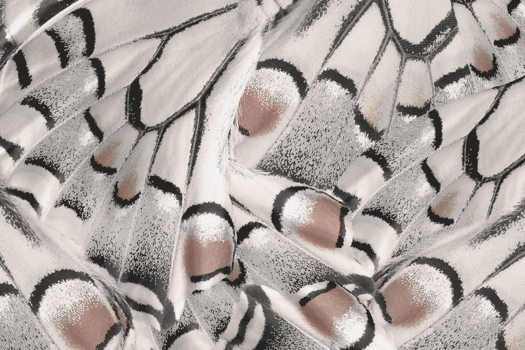 Intricate patterns in delicate fabric