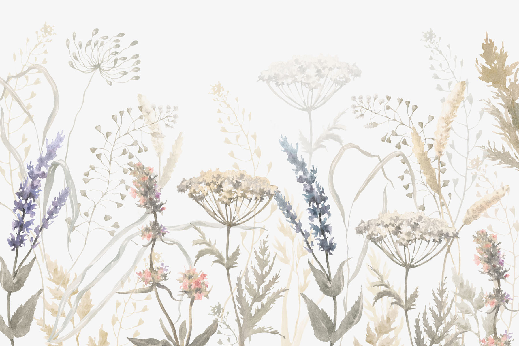 Watercolor painting of flowers and plants