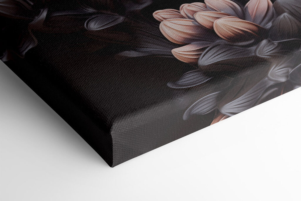 Blooming beauty against a dark backdrop Blooming beauty against a dark backdrop