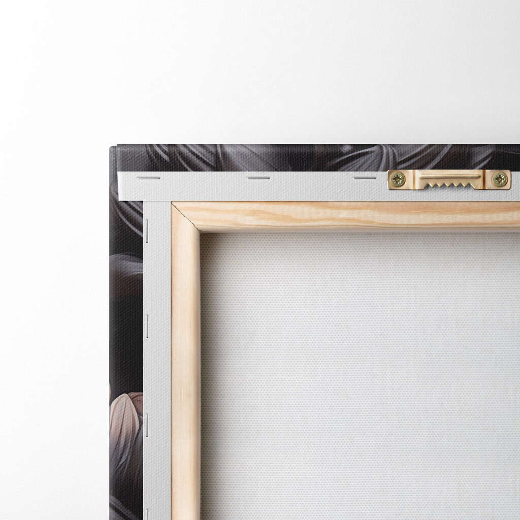 Blooming beauty against a dark backdrop Blooming beauty against a dark backdrop