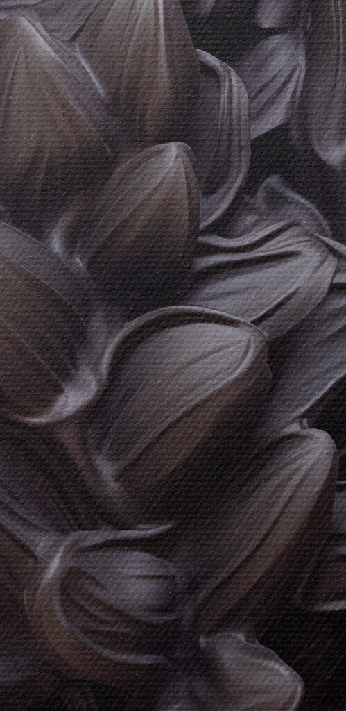 Blooming beauty against a dark backdrop Blooming beauty against a dark backdrop