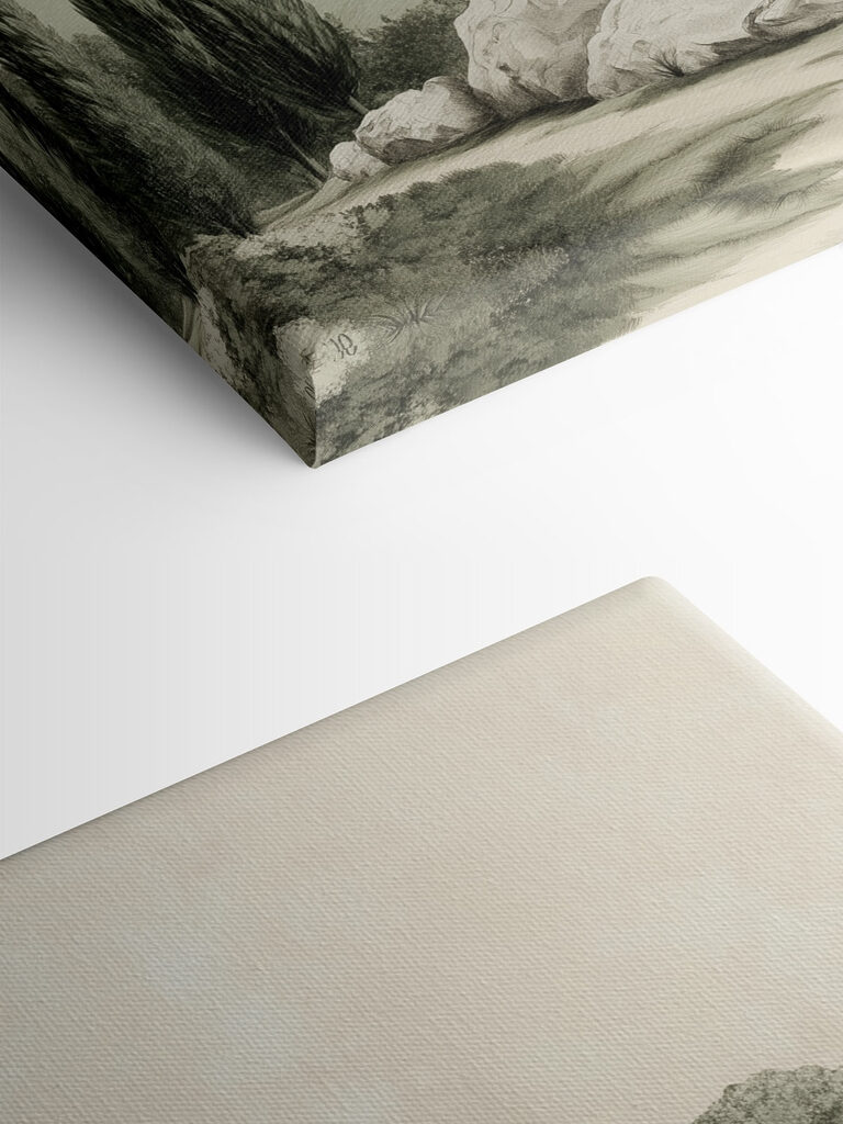 Group of trees on a hill Group of trees on a hill