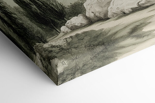 Skupina stromov na kopci Skupina stromov na kopci