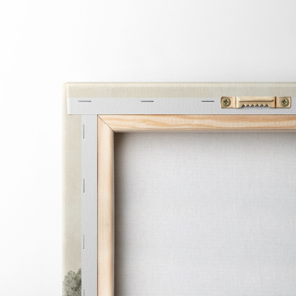 Group of trees on a hill Group of trees on a hill