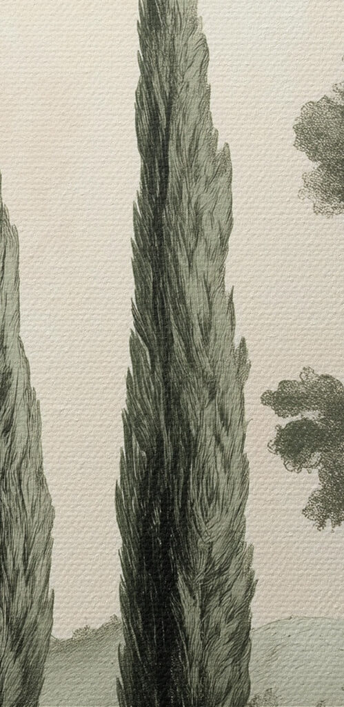 Group of trees on a hill Group of trees on a hill