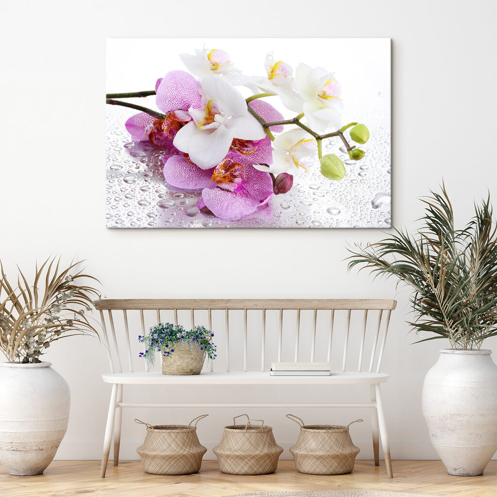 A close up of flowers A close up of flowers