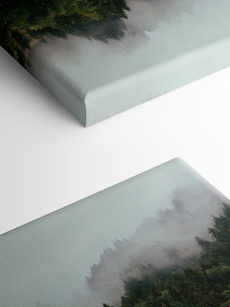 A reflection of trees in the water A reflection of trees in the water