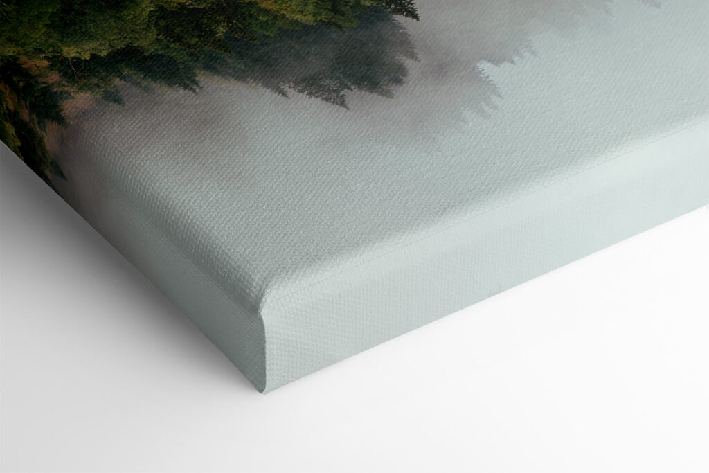 A reflection of trees in the water A reflection of trees in the water