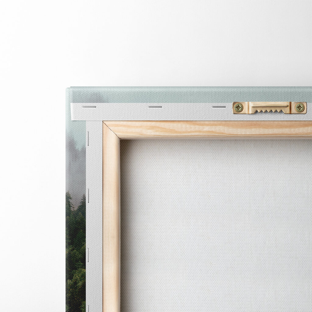 A reflection of trees in the water A reflection of trees in the water