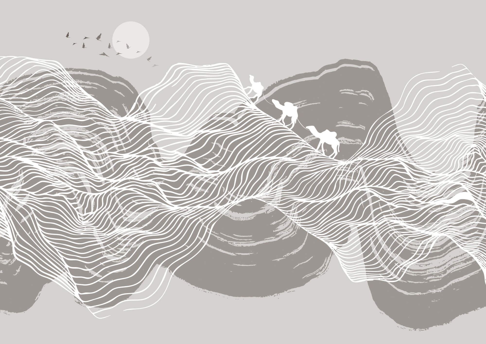 White lines on a gray background White lines on a gray background