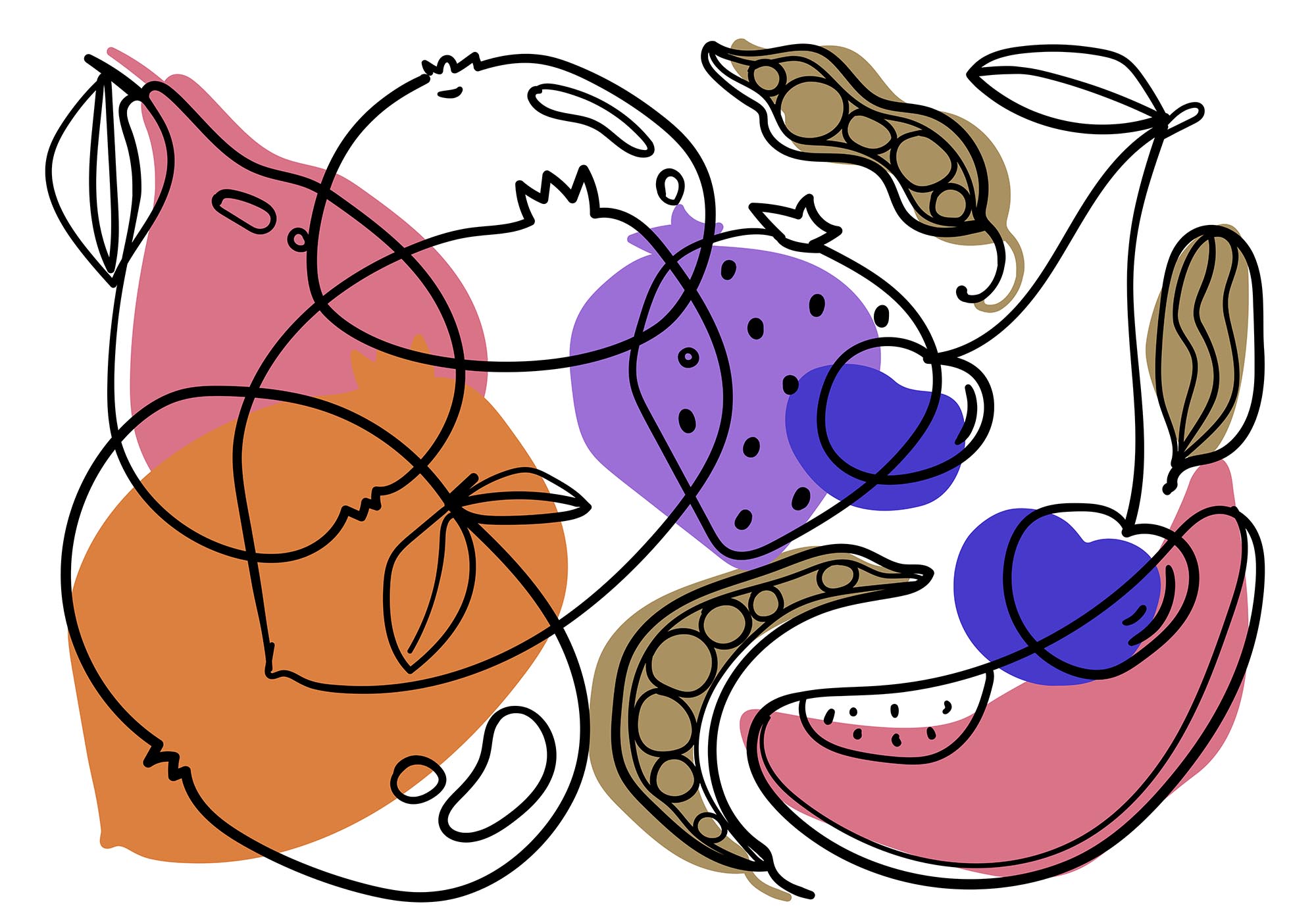 Drawing of different fruits