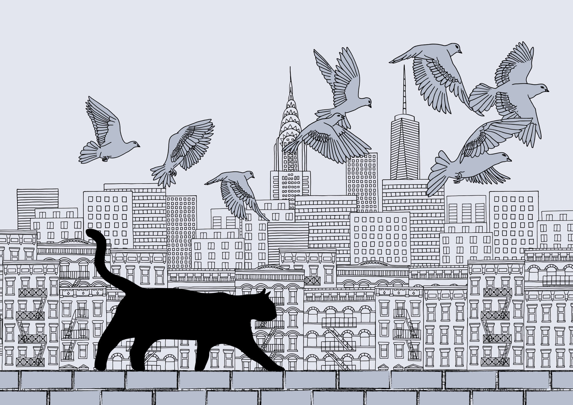 Cat walking on a wall with birds flying in the sky Cat walking on a wall with birds flying in the sky