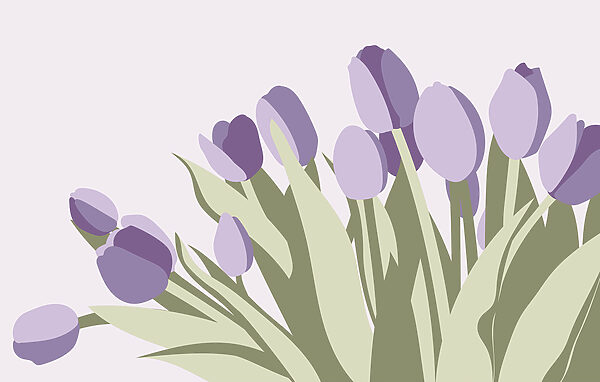 Zopár fialových tulipánov Zopár fialových tulipánov