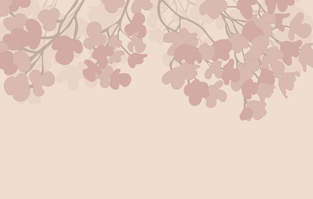 Pink flowers on a white background Pink flowers on a white background