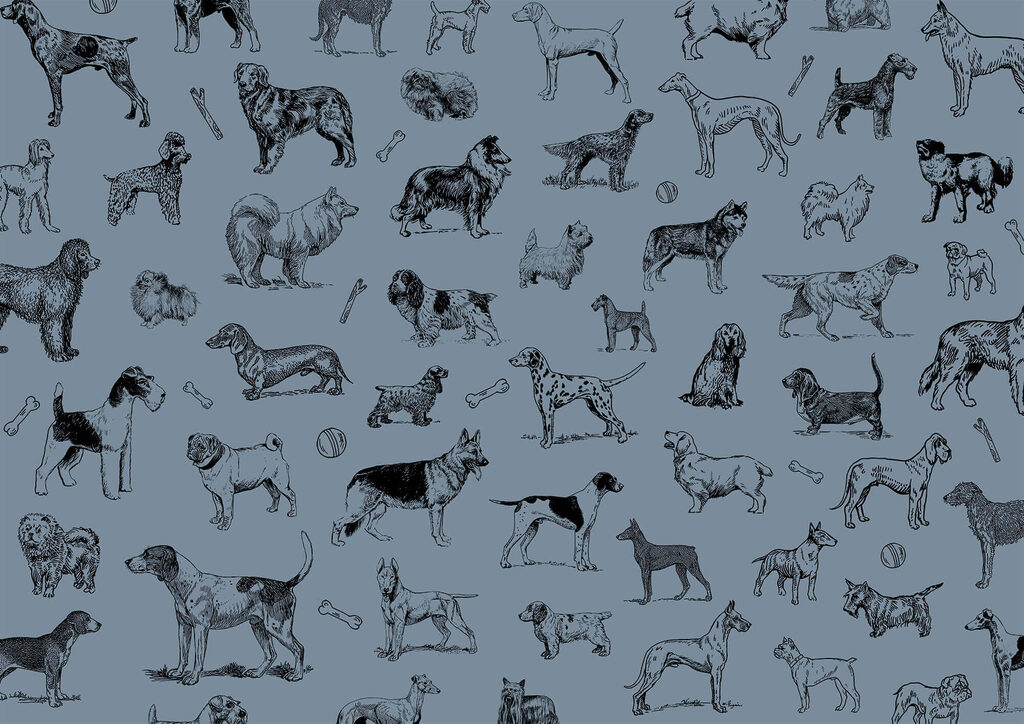 Group of dogs on a blue background