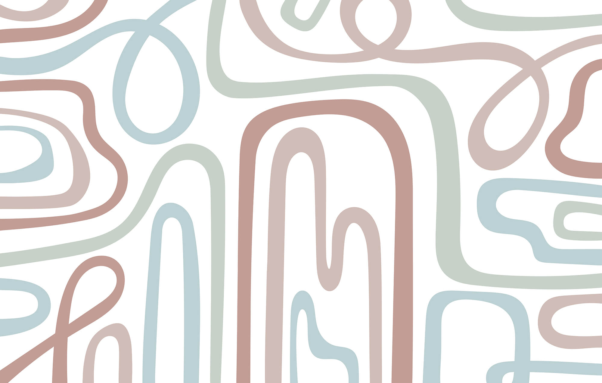 Colorful lines on a white background Colorful lines on a white background