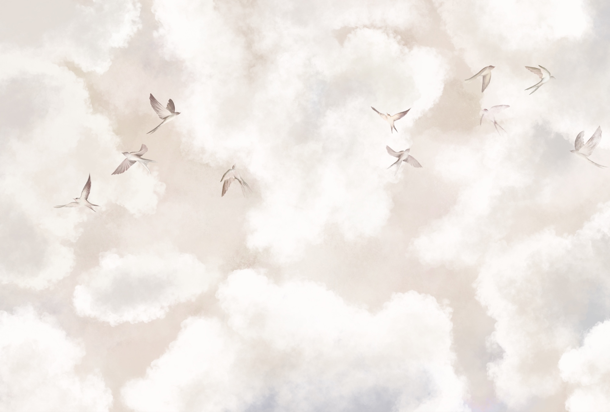 Group of birds flying in the sky Group of birds flying in the sky