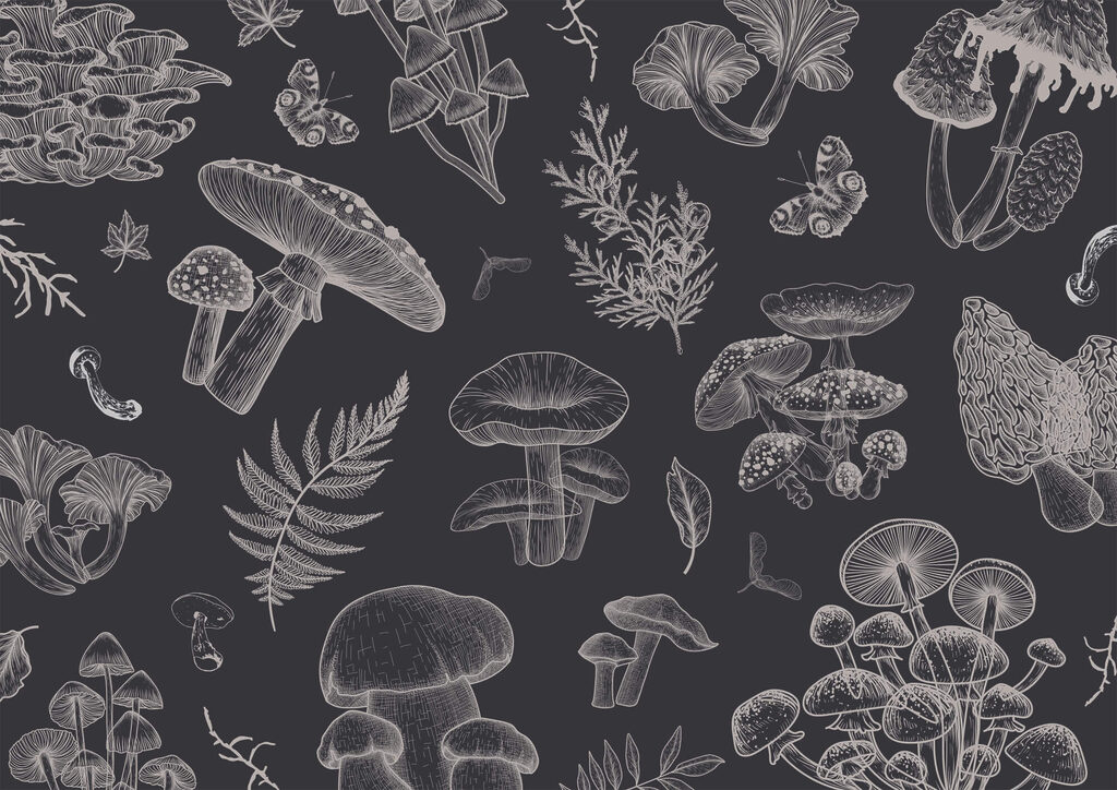 Pattern of mushrooms and leaves Pattern of mushrooms and leaves