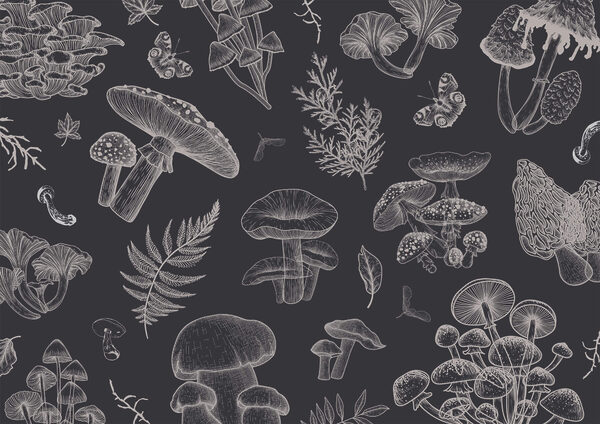 Pattern of mushrooms and leaves Pattern of mushrooms and leaves