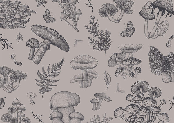 Pattern of mushrooms and leaves Pattern of mushrooms and leaves