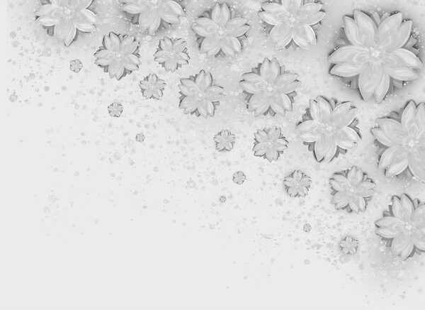 White flowers on a white surface White flowers on a white surface
