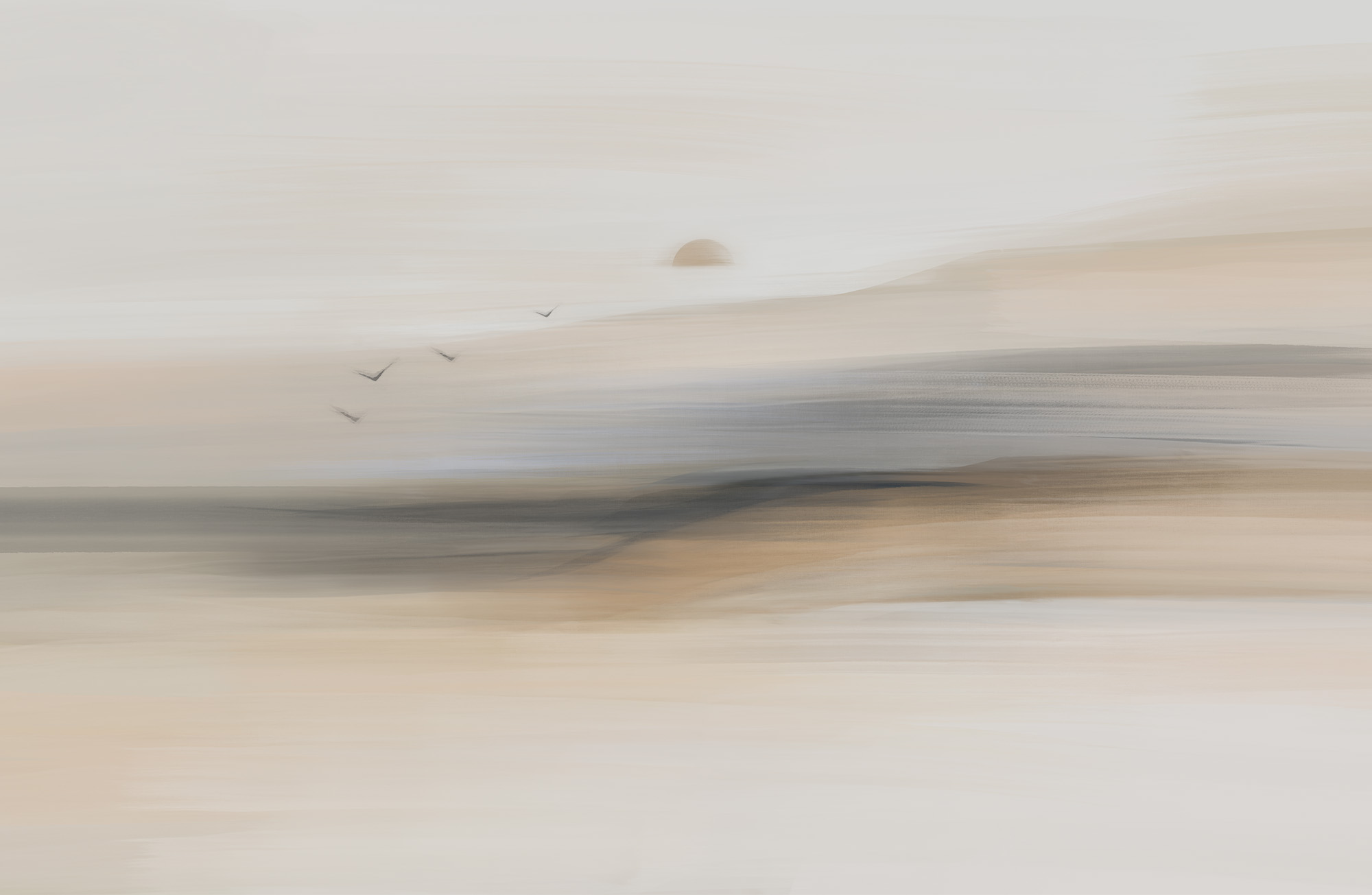 Group of birds flying in the sky Group of birds flying in the sky