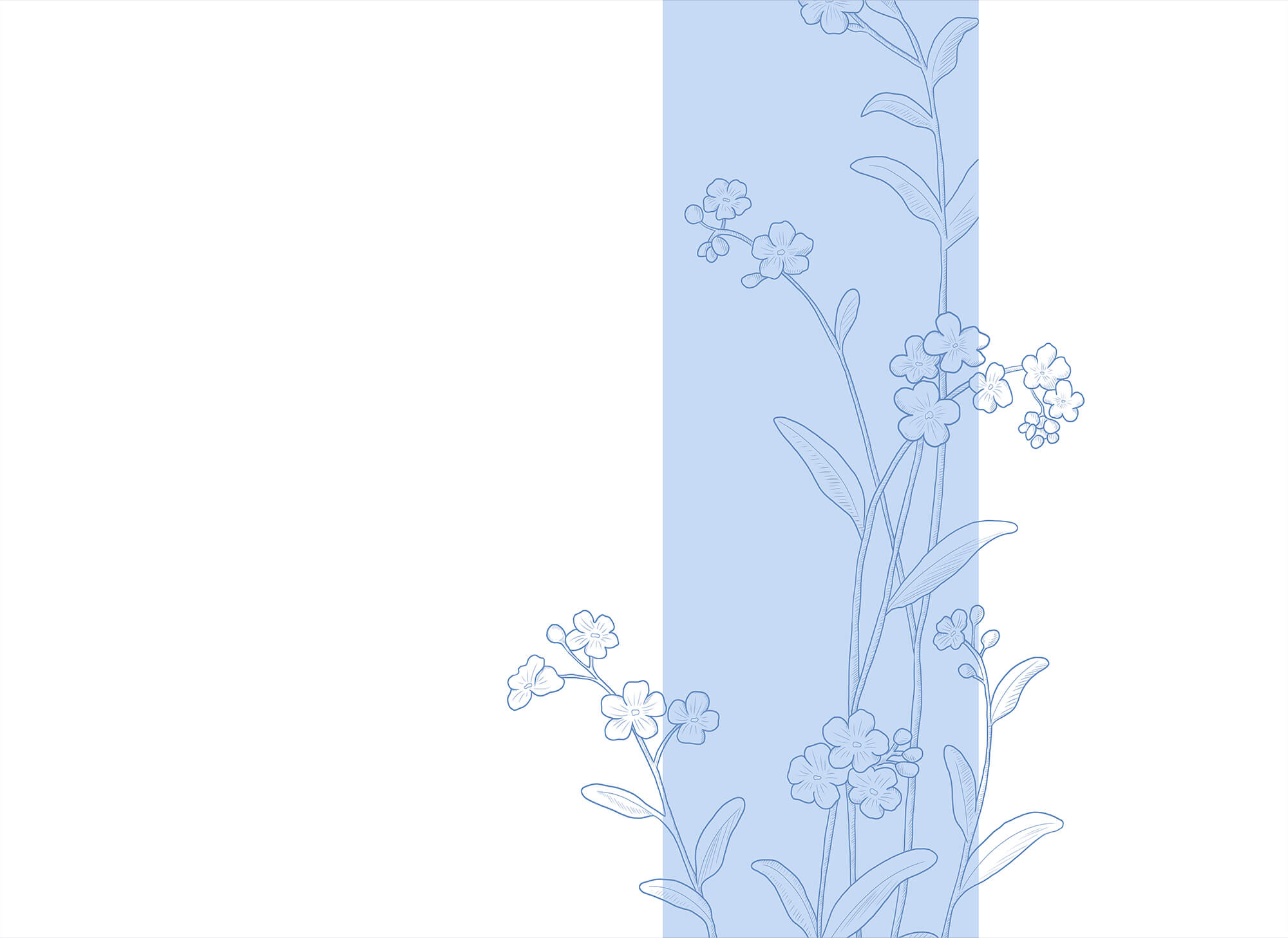 Blue and white flower drawing