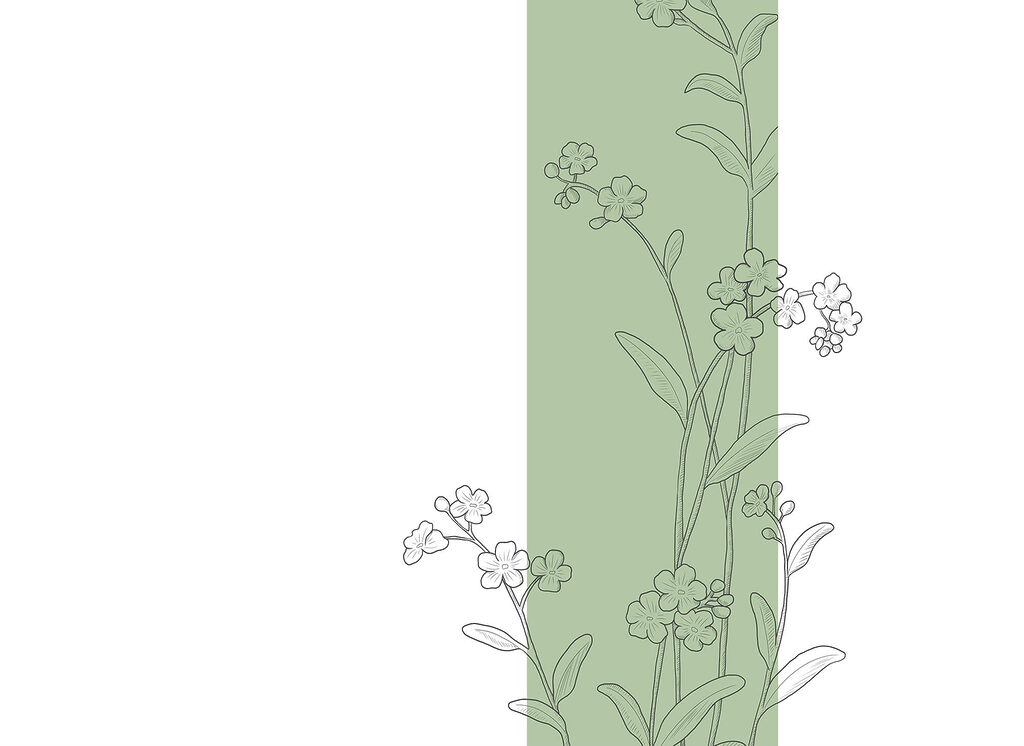 Drawing of flowers and leaves