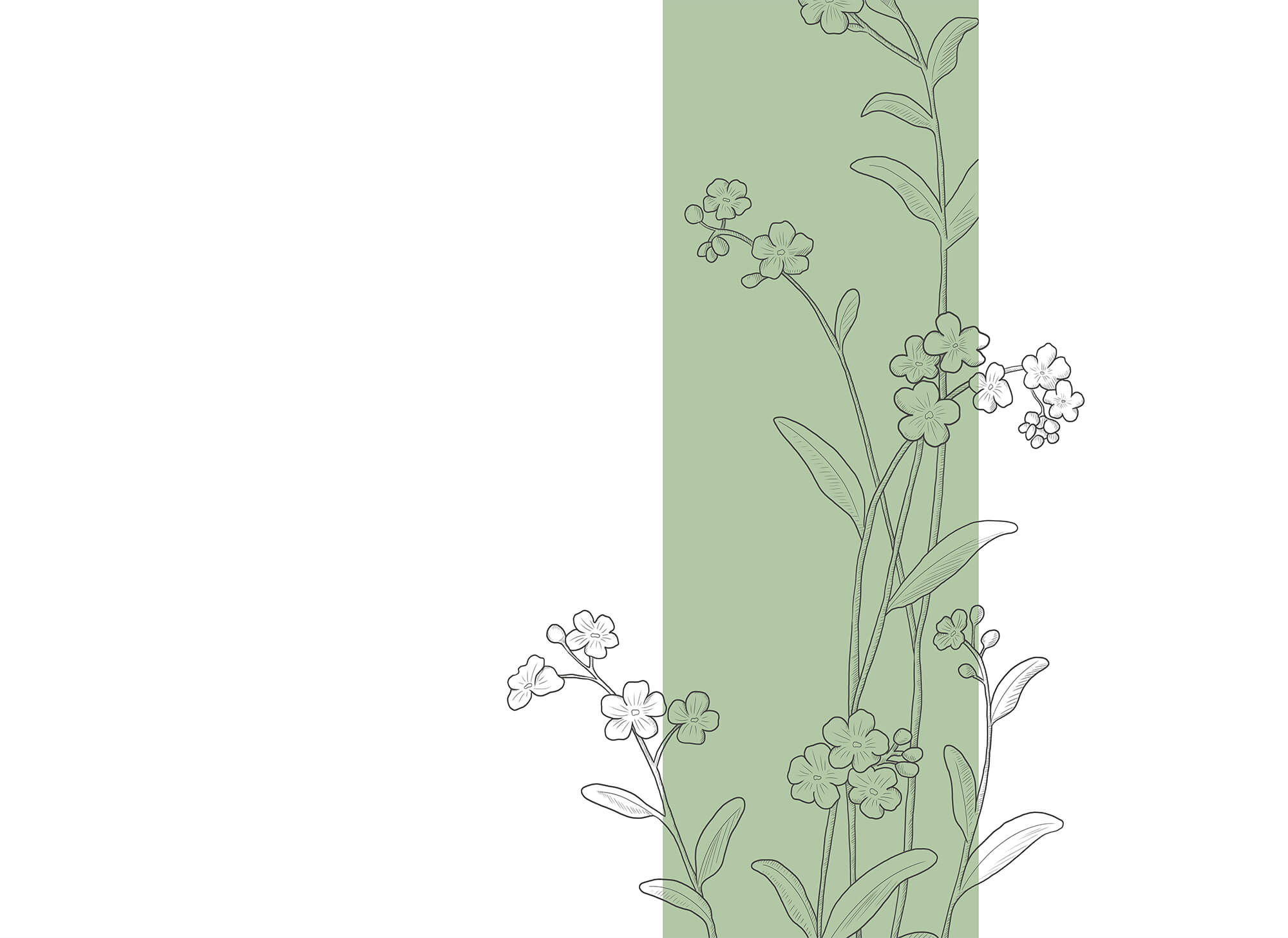 Drawing of flowers and leaves