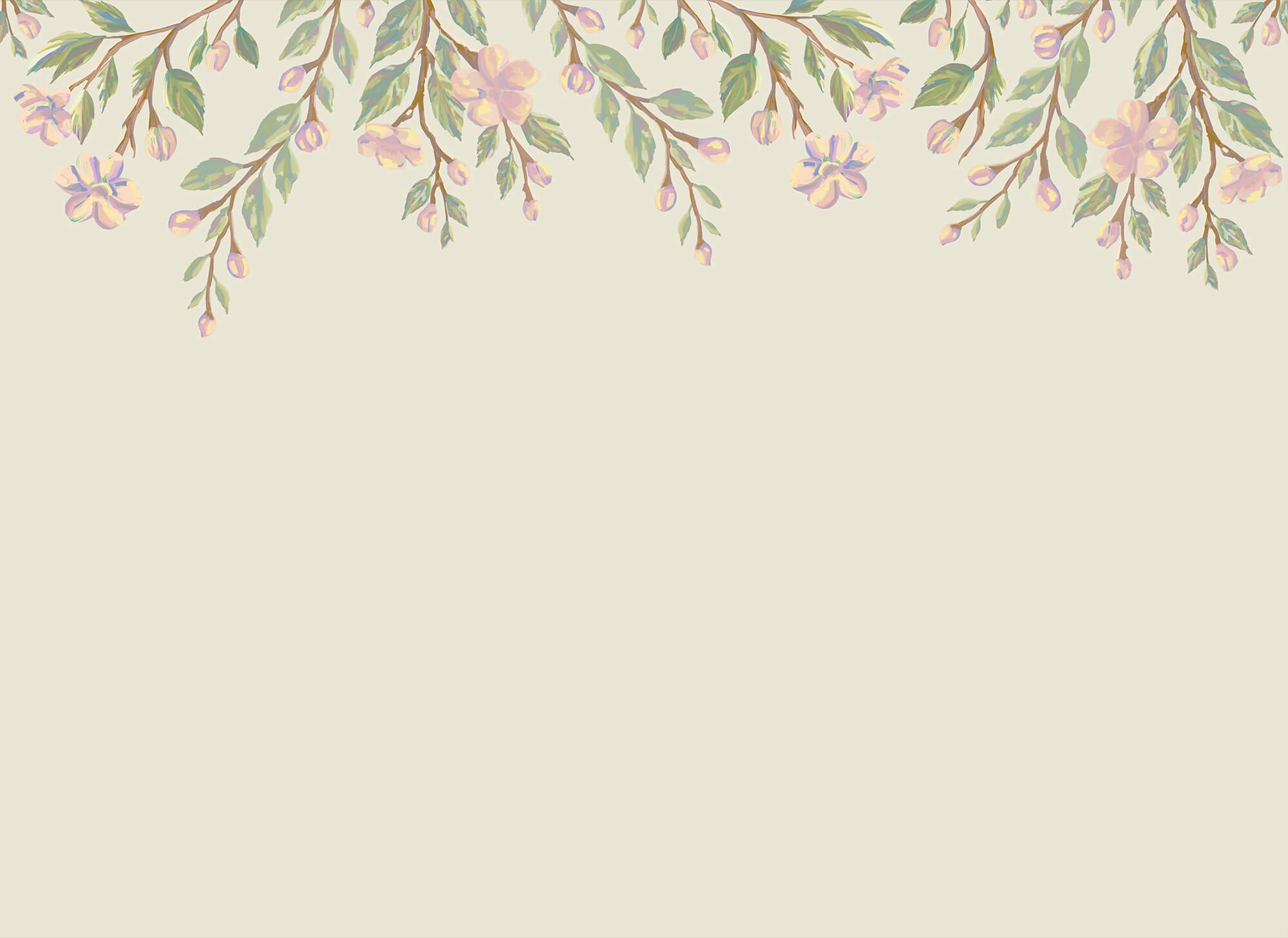 Delicate blooms frame a soft background Delicate blooms frame a soft background