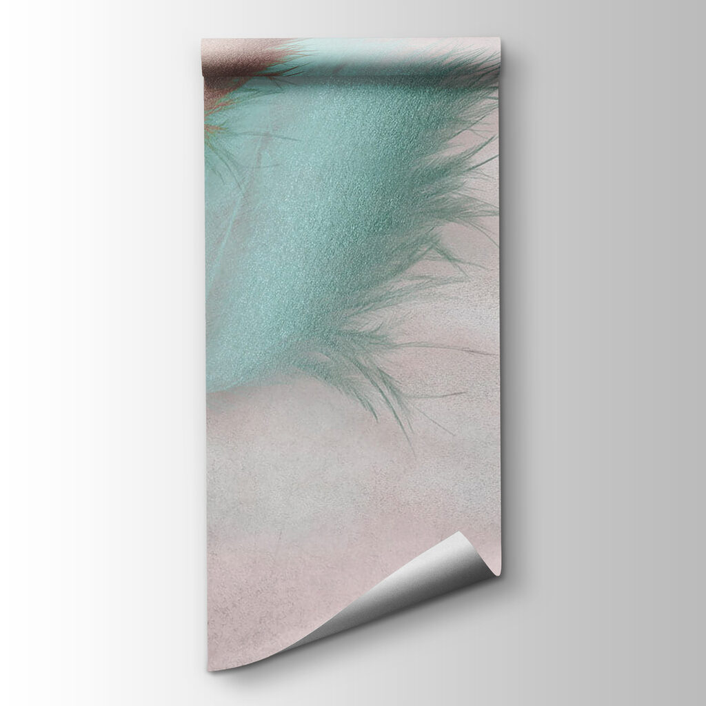 Group of feathers on a pink background