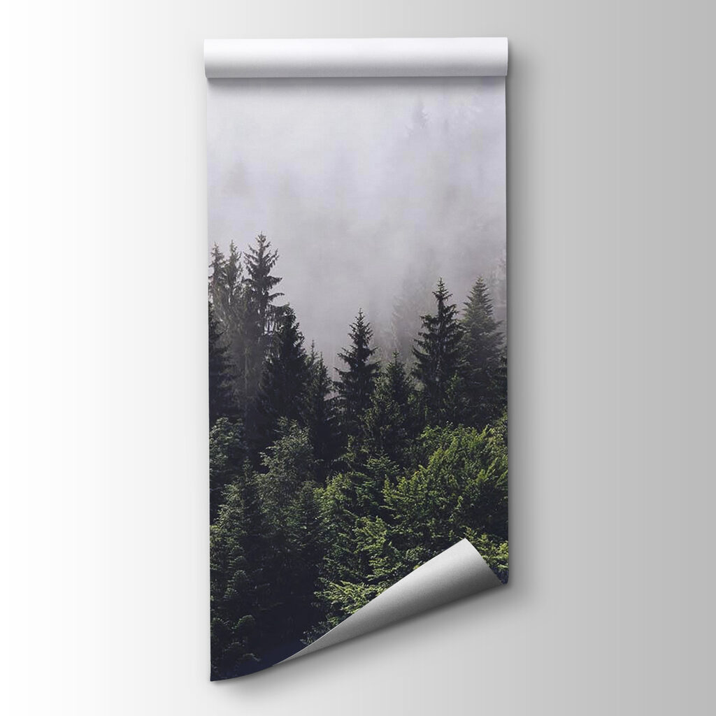 Forest of trees with fog