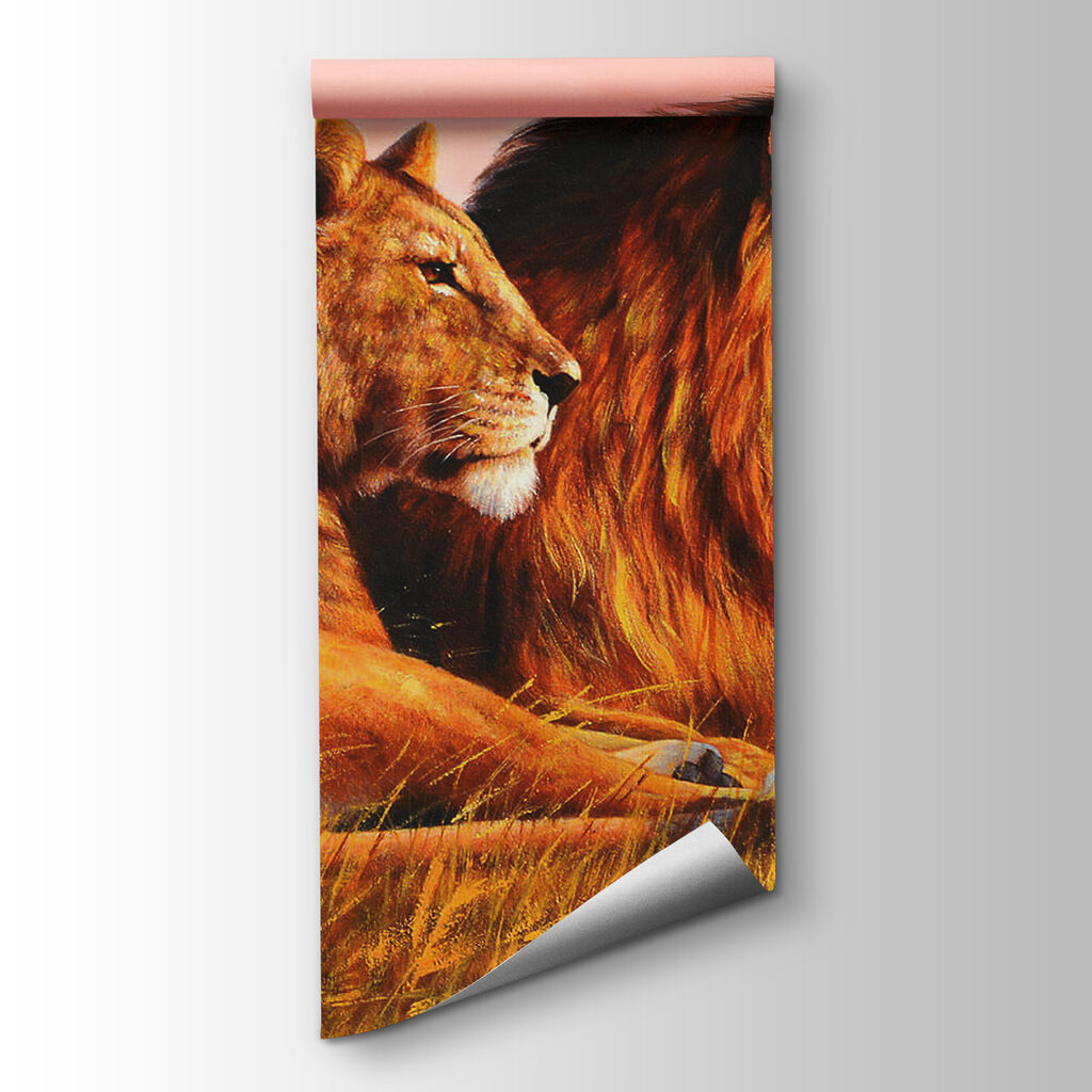 Couple of lions lying in grass