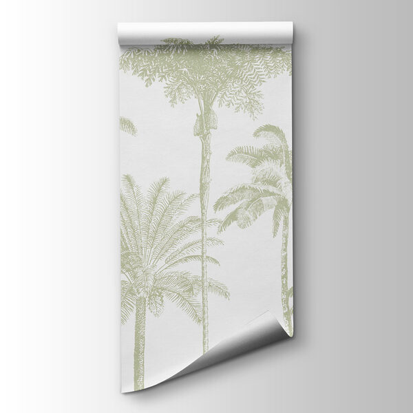 Group of palm trees Group of palm trees