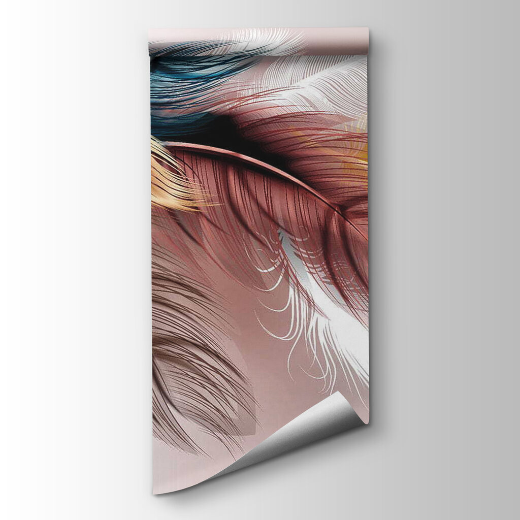 Group of colorful feathers Group of colorful feathers