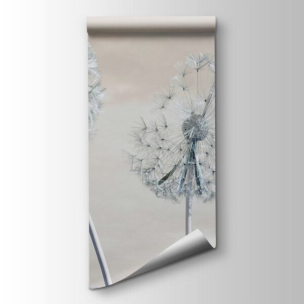 A group of dandelions with seeds