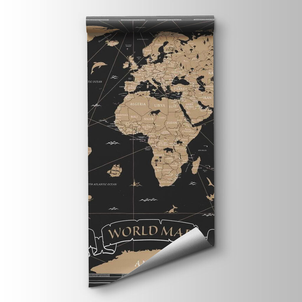 Map of the world Map of the world