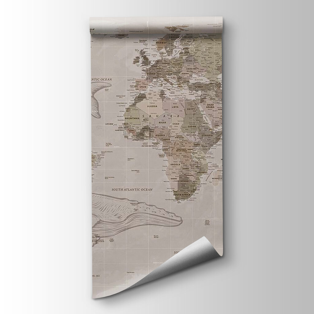 Map of the world with whales Map of the world with whales