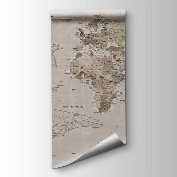 Map of the world with whales Map of the world with whales