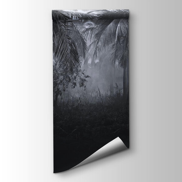 Foggy forest with palm trees Foggy forest with palm trees