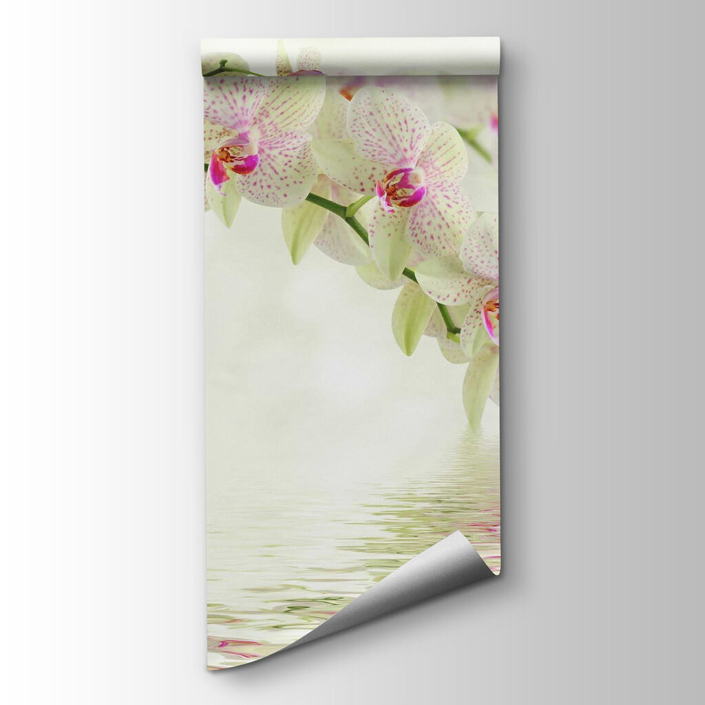 Delicate orchids over gentle water